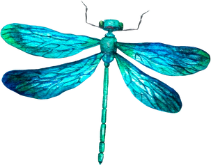 Watercolor Blue Dragonfly