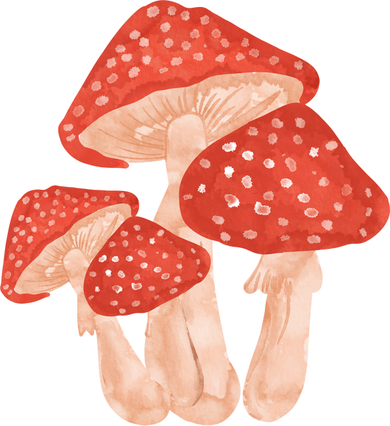 watercolor of red mushroom